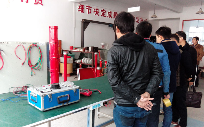 武汉高校客座教授参观三新电力